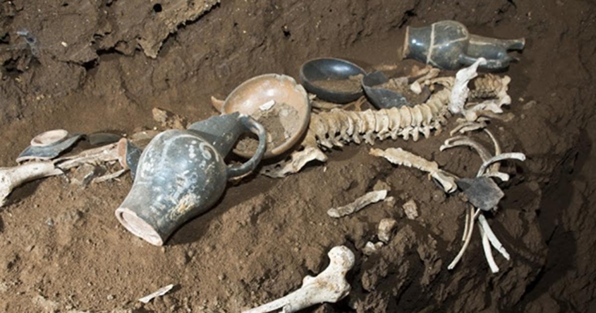 Skeletal remains and grave goods found in the ‘Tomb of the Athlete.’ 