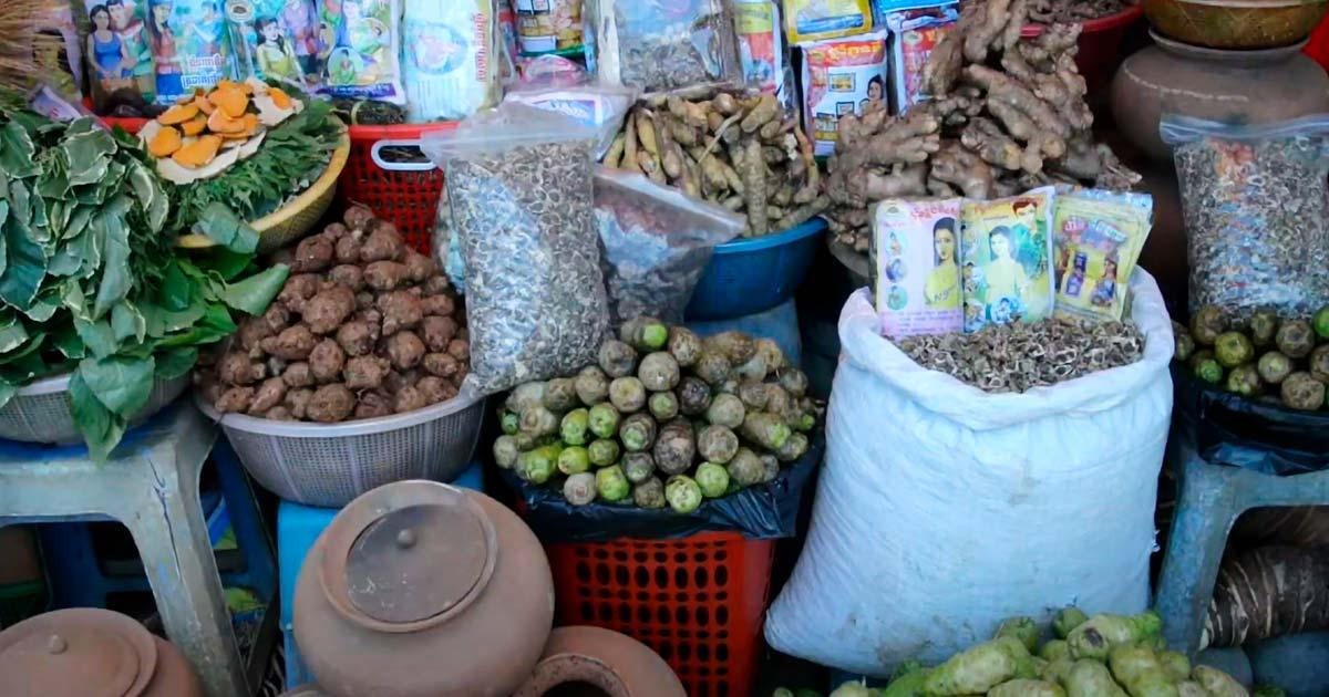 traditional medicine, Cambodia, healers, ingredients, healthcare