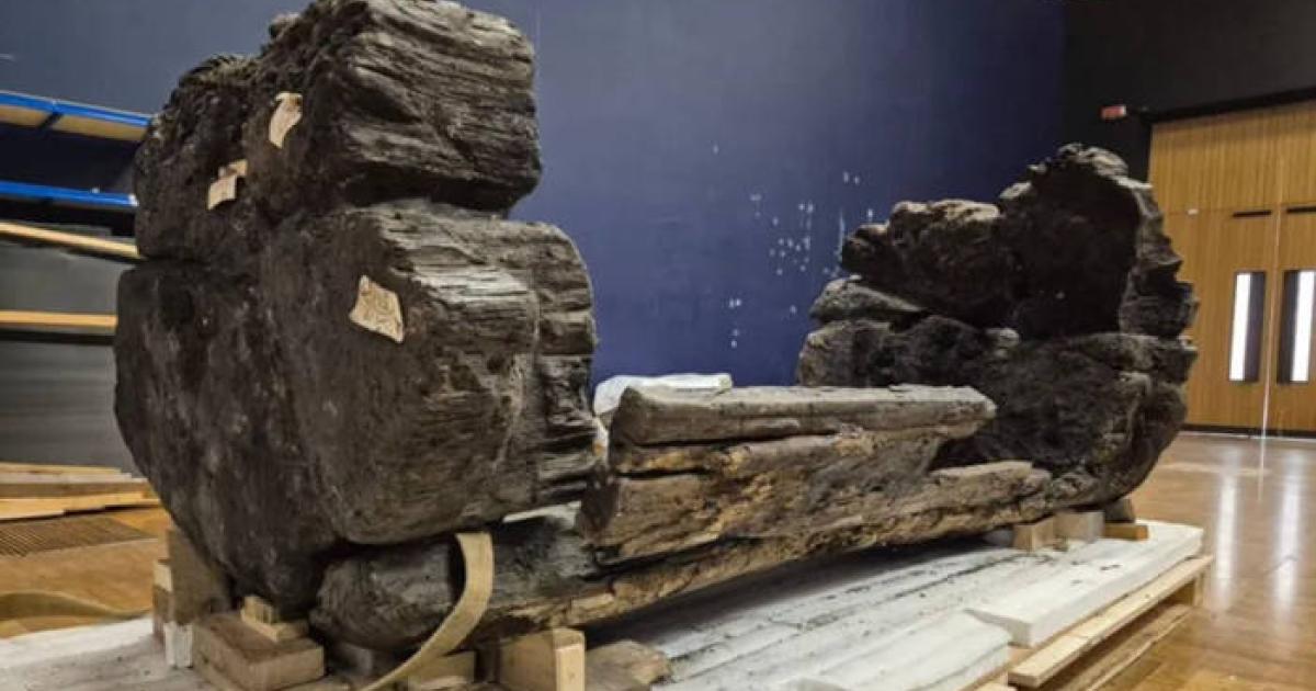 The restored Tetney Coffin after arrival at Lincoln Museum, where it will soon be displayed. 