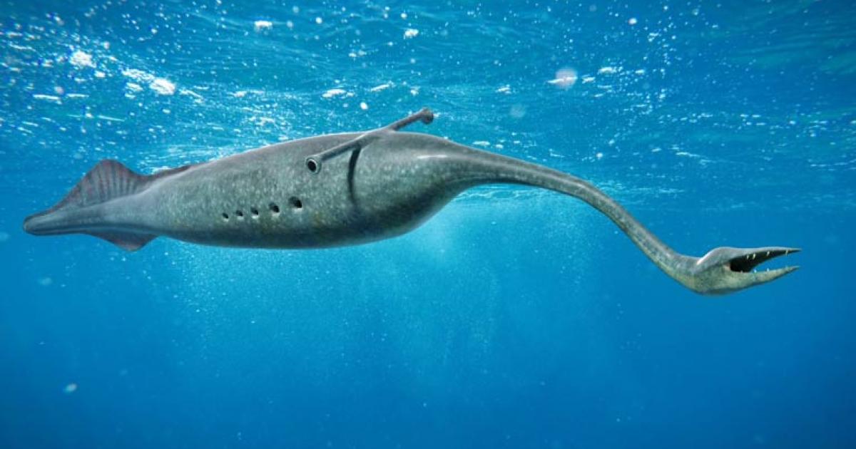 Tully Monster swimming in the ocean