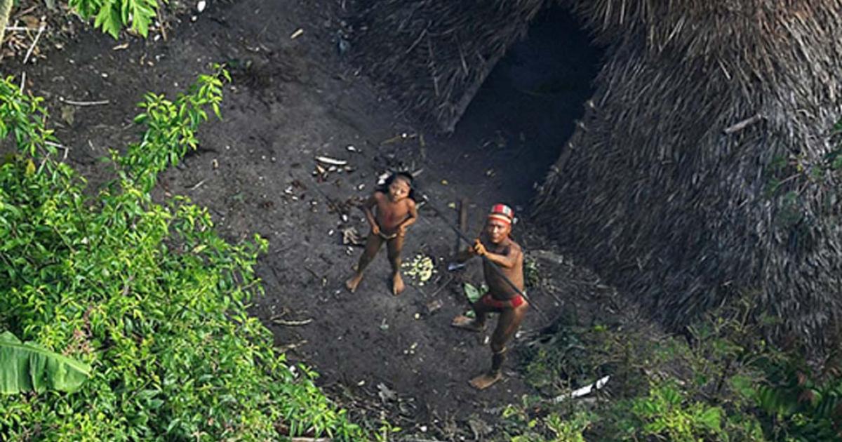 An uncontacted tribe in the jungle of Brazil