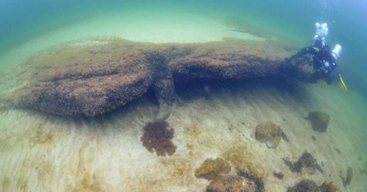 Archaeologists Uncover 9,000-Year-Old Underwater Stone Age Settlement 