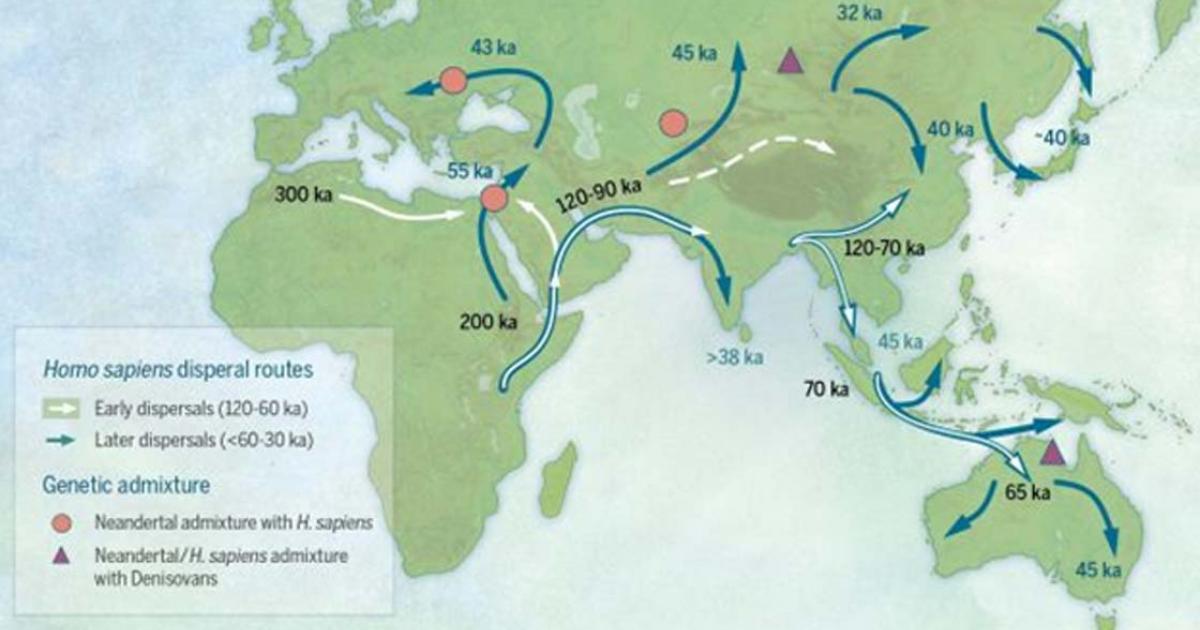 Map of sites and postulated migratory pathways associated with modern humans dispersing across Asia during the Late Pleistocene.