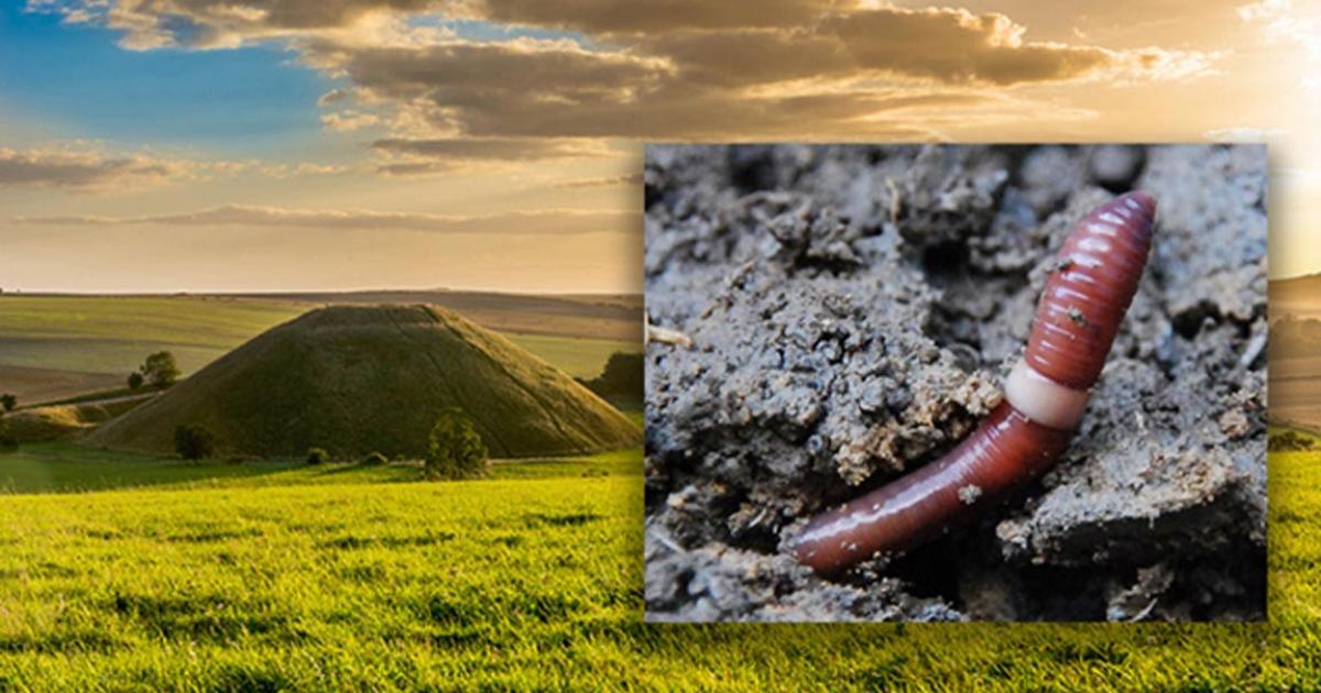 Deriv; Silbury Hill, Avebury, UK. Inset, the humble earthworm