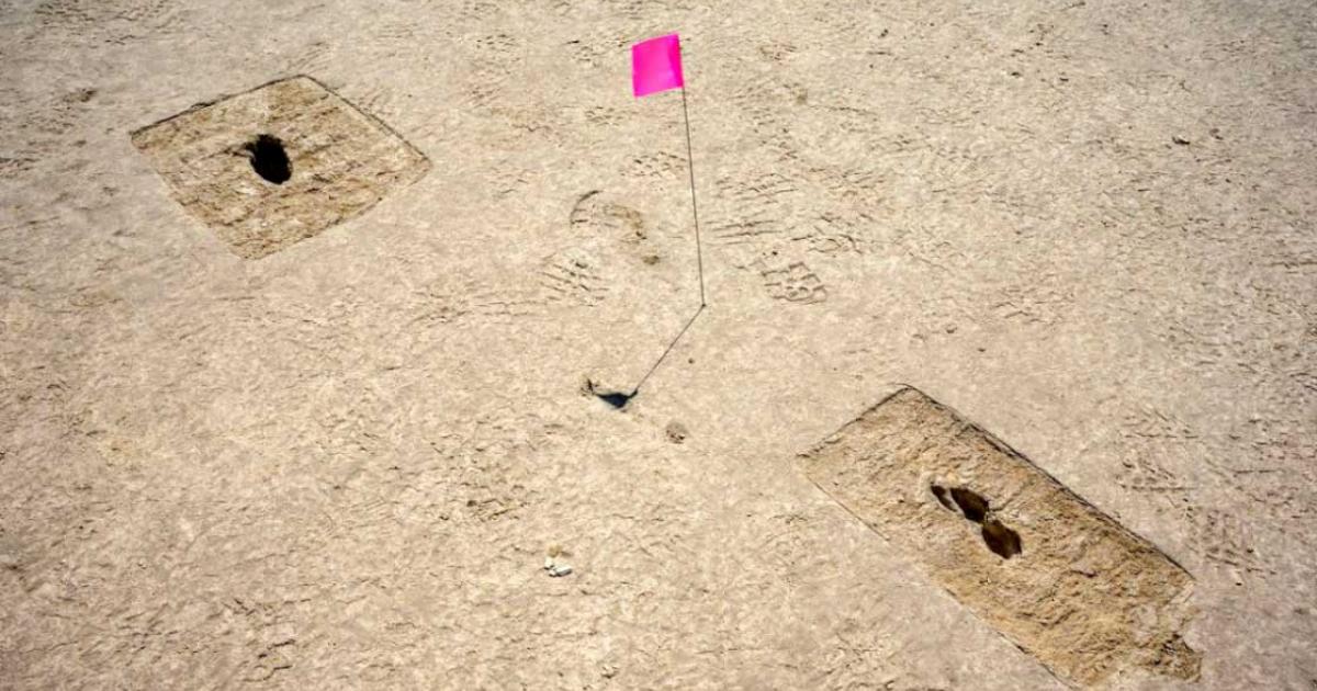Some of the ancient ghost footprints marked with pin flags discovered in Utah. Source: R. Nial Bradshaw / US Air Force