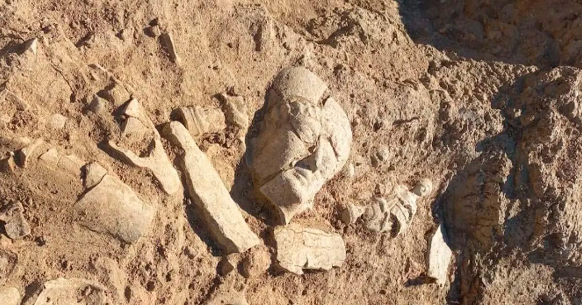 Votive offerings have been unearthed in the Valley of Temples in Sicily, Italy. Source: Sicilian Regional Institutional Portal.