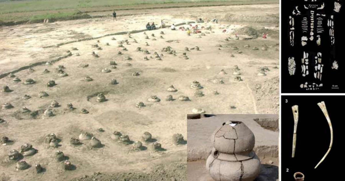 The Vatya Cuture urn-field, with indivigual urn inset and remains that were found.     Source: PLoS ONE