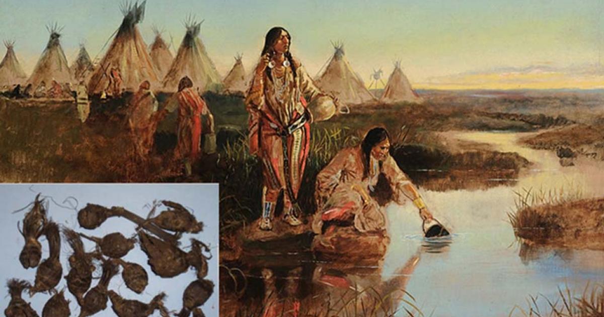 Archaeologists Discover 3,800-Year-Old Underwater Vegetable Garden 