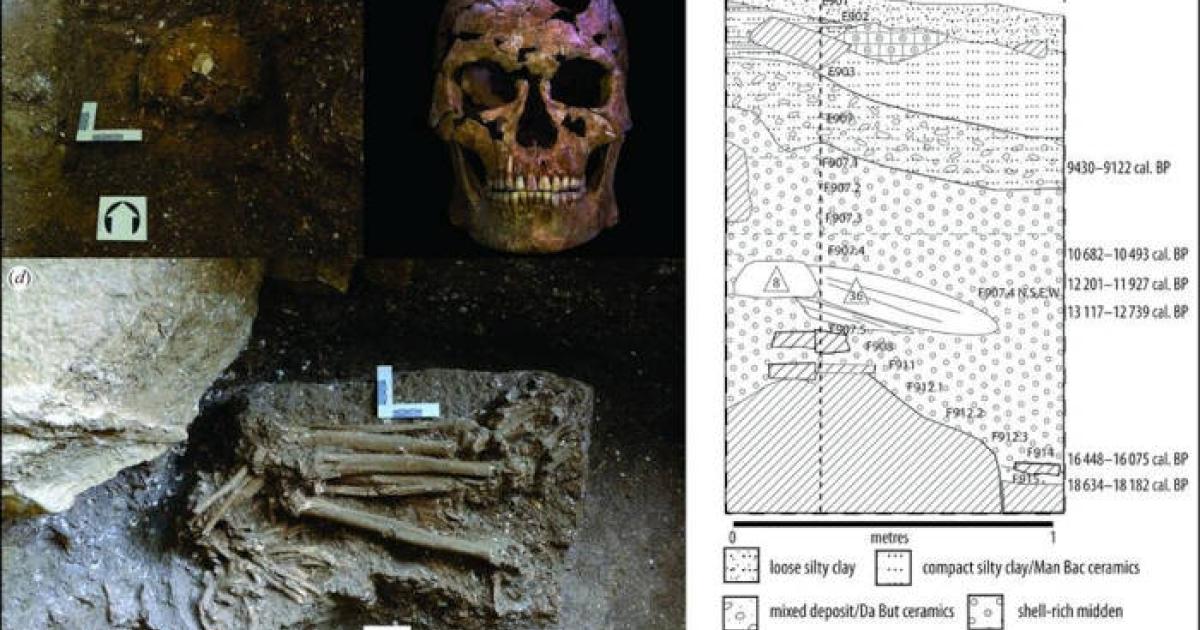 Images of the human remains TBH1 in the Thung Binh 1 cave, and diagram of the stratigraphic position of the find. 