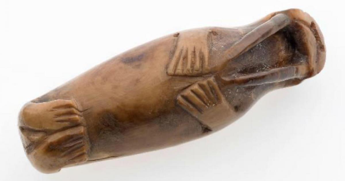 Walrus carving from medieval Trondheim. Viking colonies in Greenland relied on walrus ivory for trade. Source: Credit: Åge Hojem NTNU University Museum