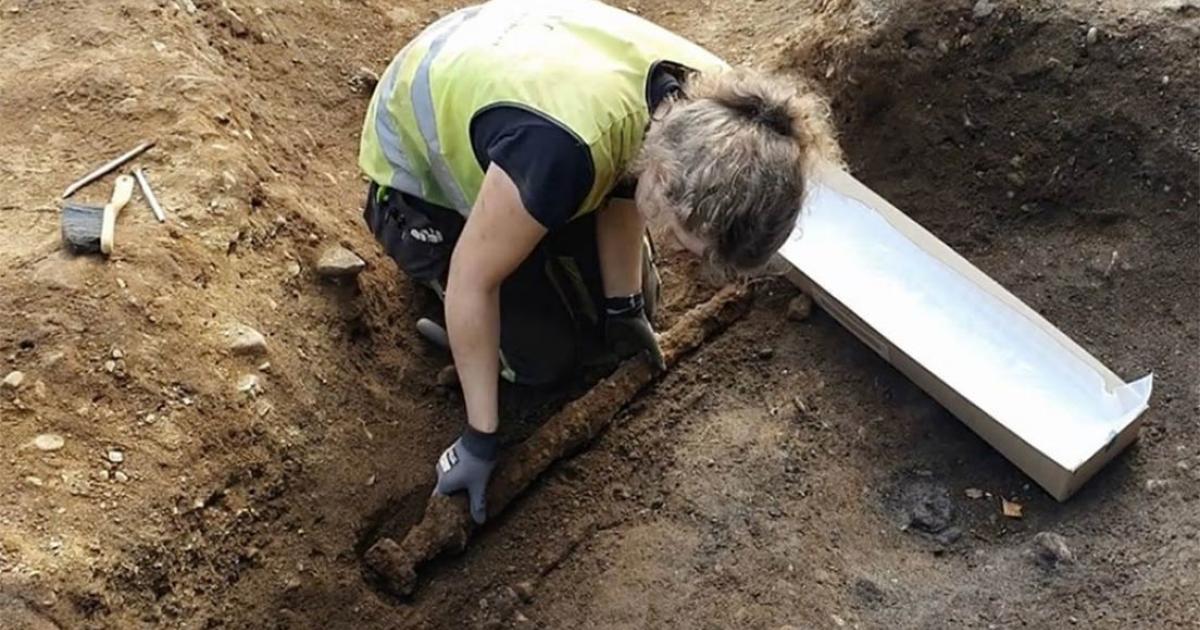 The Viking sword discovery as it was found on the opposite side of a Norse warrior, before Astrid Kviseth placed it in specially prepared padded box.                        Source: Norwegian University of Science and Technology