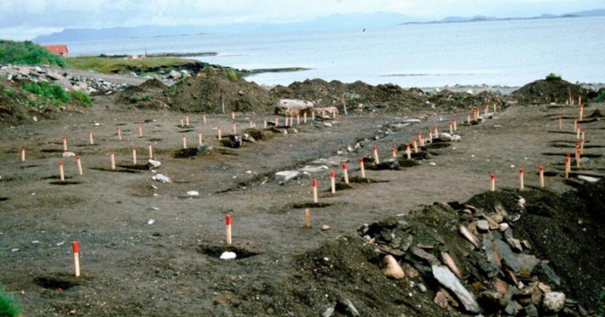 Pegs marking the post holes of two large boathouses on Rennesøy, north of Stavanger. 