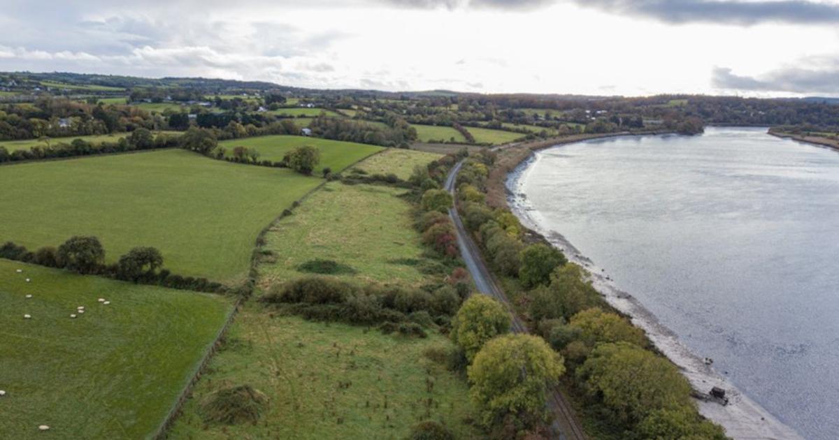 The site of the largest Viking settlement discovered in Ireland, by the River Suir near Waterford, Ireland.