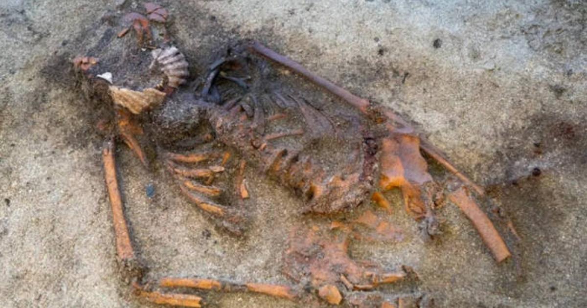 : The Viking Age woman’s remains.