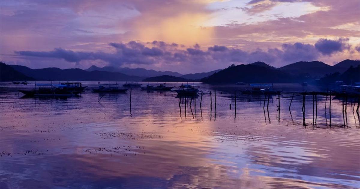 The coast of the Visayas islands, Philippines, today.               Source: attiarndt / Adobe Stock