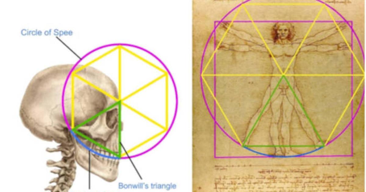 Detailed geometric analysis showing how the triangle relates to Bonwill's triangle and creates the mathematical foundation for the drawing's proportions.