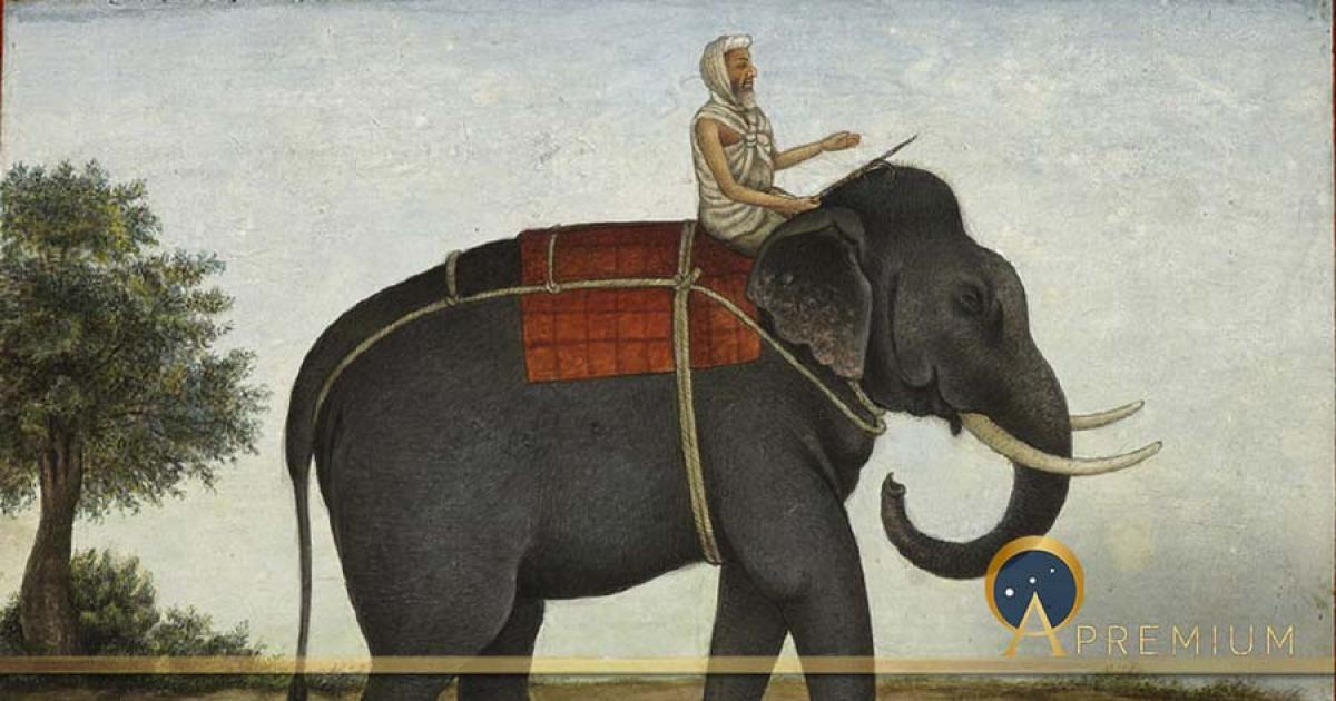 The Mûmakil Elephant Slayers Of The Ancient World
