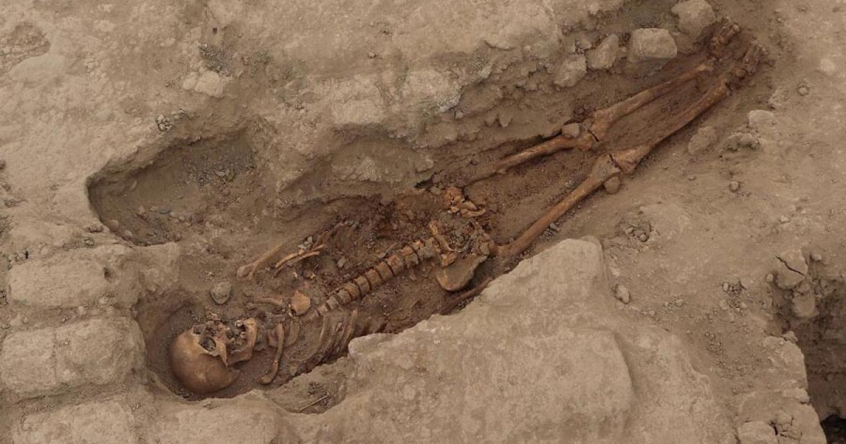 One of the skeletons discovered at Huaca Santa Rosa de Pucala which is helping rewrite the history of the Wari culture. Source: Museo Tumbas Reales de Sipán