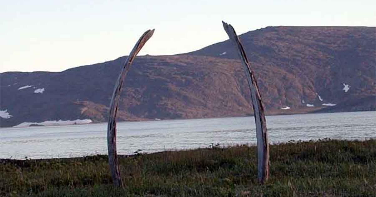Standing whale ribs on Yttygran Island. Source: National Ocean Service / Public Domain