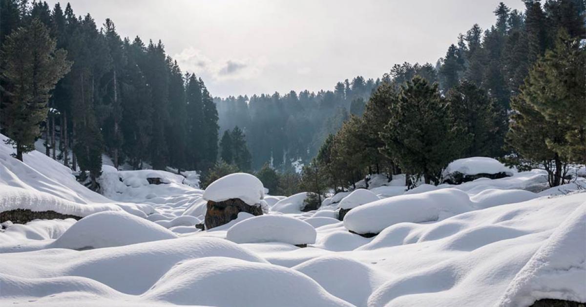Remembering Winter in Kashmir: Shaping A Collective Memory of the Past