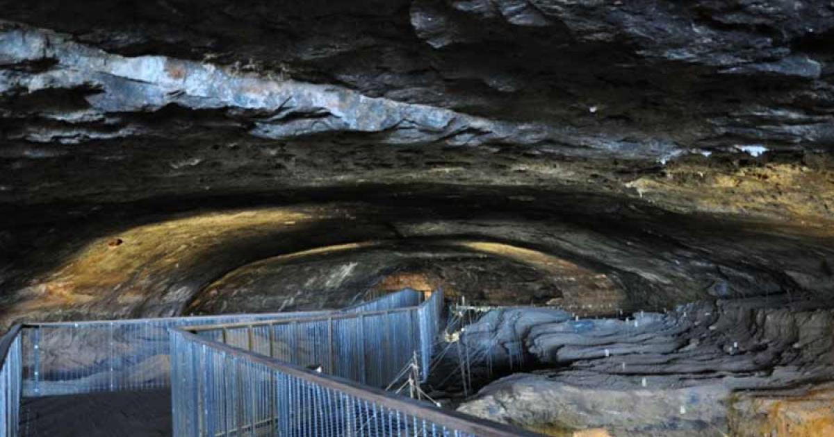 Our human ancestors, who lived in Wonderwerk Cave in South Africa, were likely Homo habilis.	