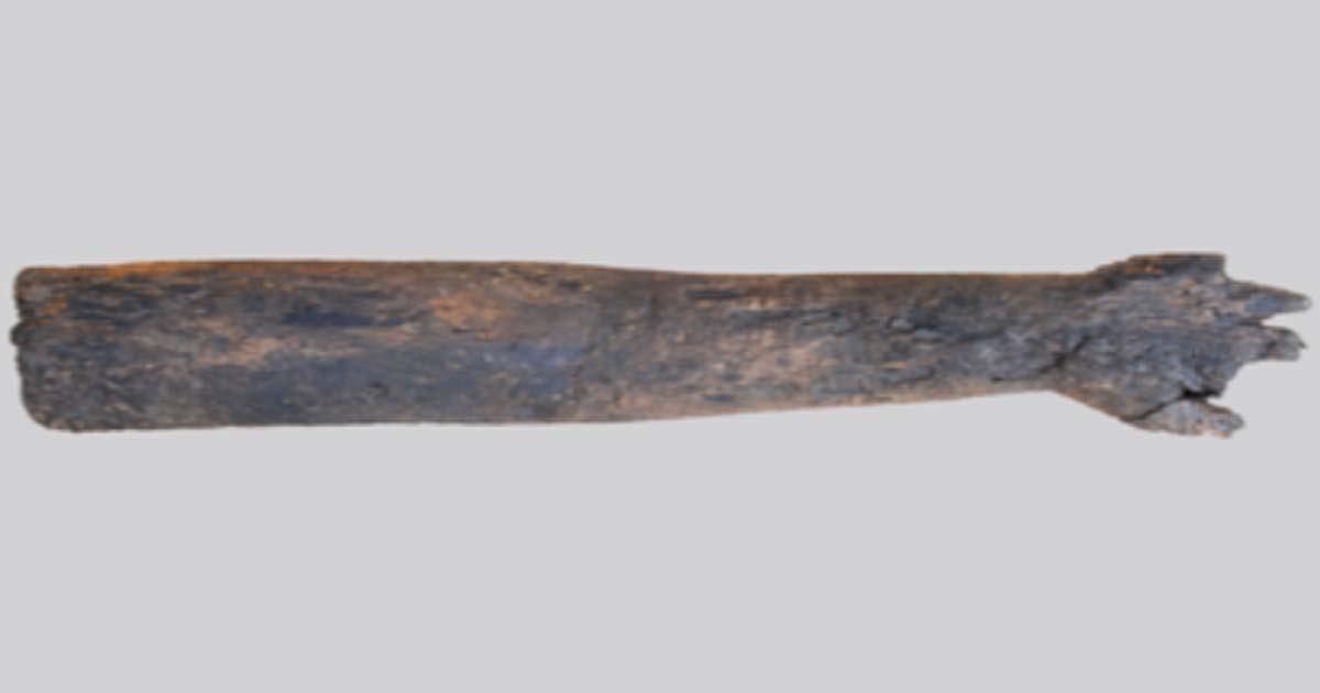 The wooden arm was found at the bottom of an ancient Roman well. Source: Oxford Archaeology