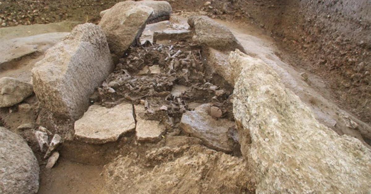 Top view of the Dolmen of Oberbipp in Switzerland, one of the largest burial sites in the study, where Neolithic remains were studied, revealing clues to the Yamnaya Culture’s migration to Europe.       Source: Urs Dardel / Archäologischer Dienst des Kanton Bern