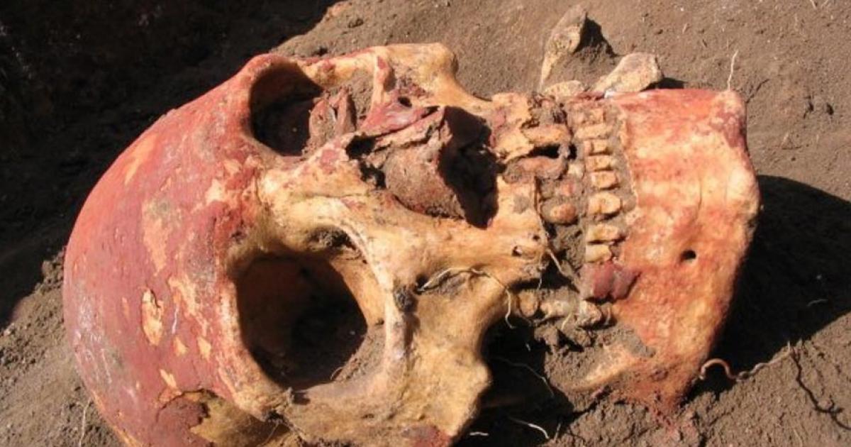 This image shows a Yamnaya skull from the Samara region colored with red ochre.