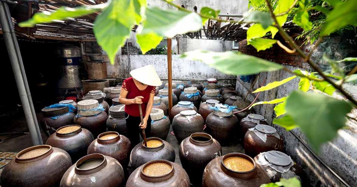 Traditional soy sauce production. Source: Quang / Adobe Stock.