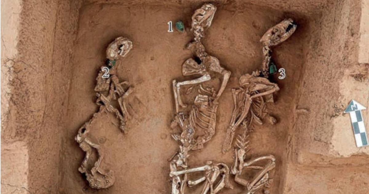 A sacrificial pit photo shows bronze bells marked among animal remains at Yinxu