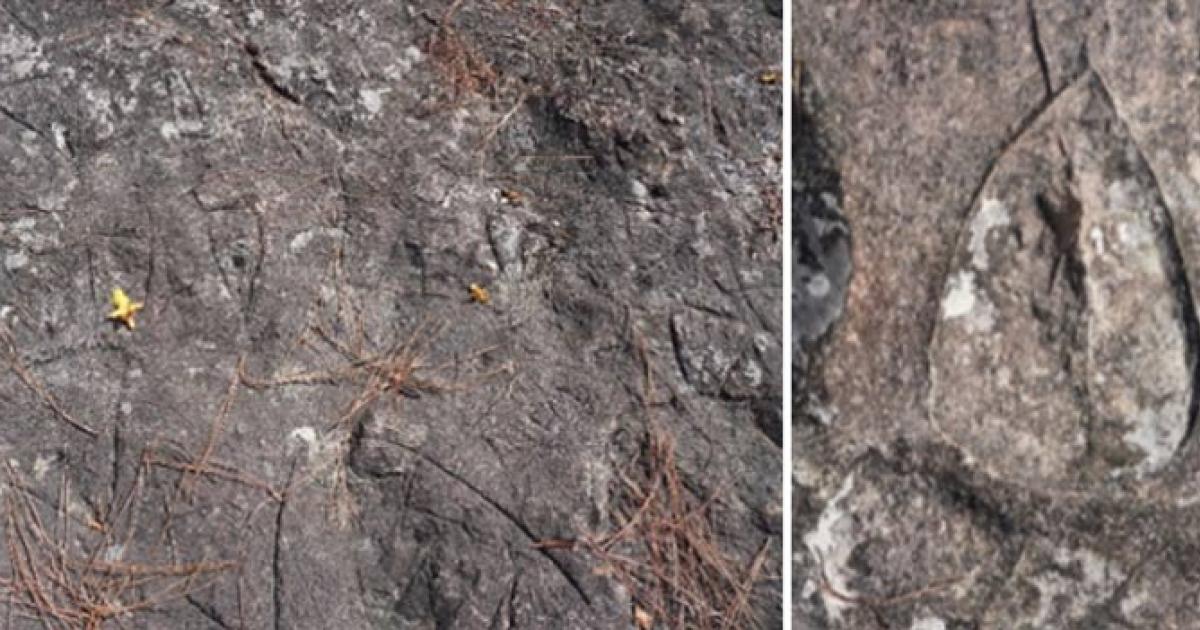 A collection of over 3,000 years old endangered prehistoric engravings Source: Author provided