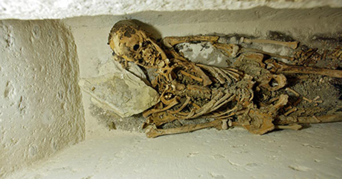 4,400 years old Skeleton in Abusir - Egypt