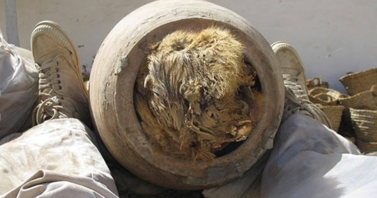 Abydos - Buried Dogs