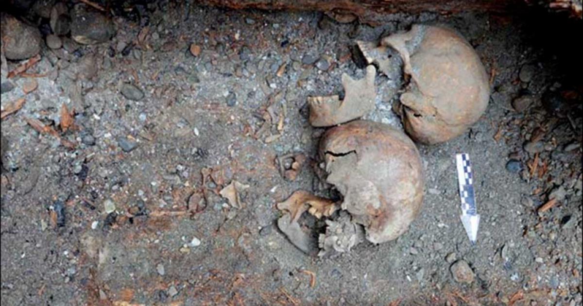 Pair Died in 500 BC and Went to Next Life in Fur Coats, but with Their Heads Severed