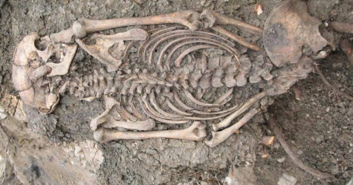 adult man (ID 2072) buried at Sigtuna