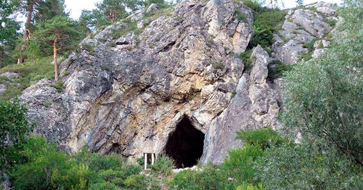 The discoveries have led to palpable excitement among scientists in Siberia. 