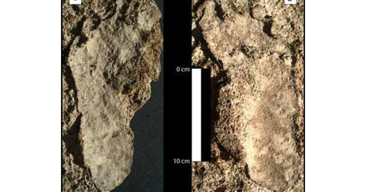 Oldest human footprints