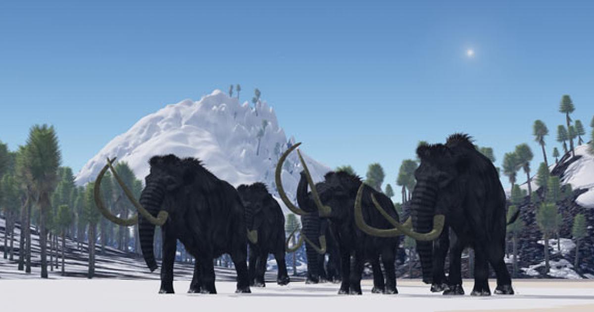 Ancient extinct species