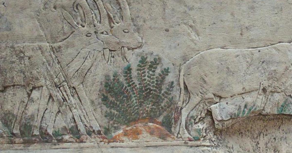 Ancient Artwork - Risk