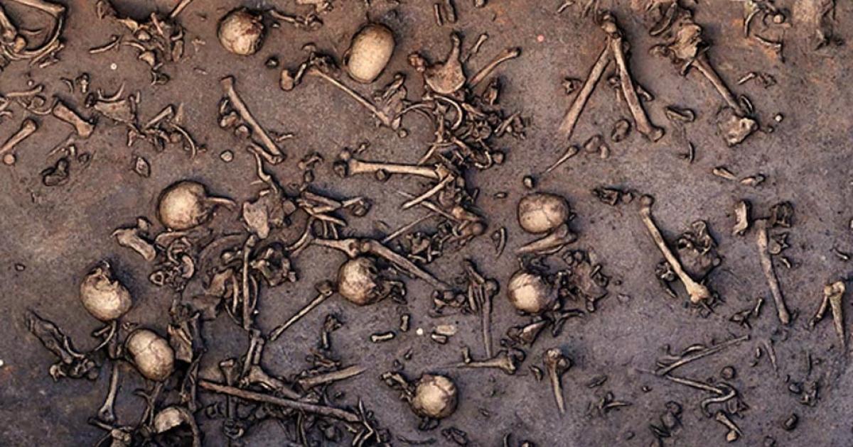Excavation of an ancient battlefield in northern Germany revealed signs of an immense battle, such as closely packed bones, as seen in this 2013 photo of the site. One area of 12 square meters is said to have held 1478 bones, including 20 skulls. 
