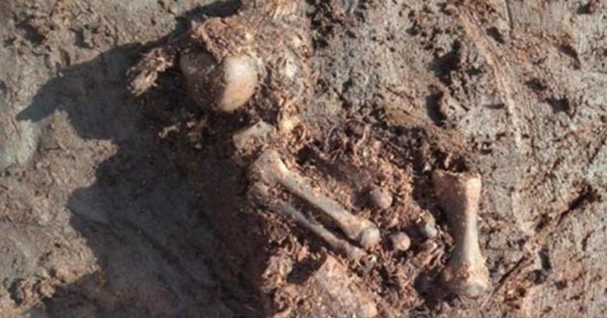 Ancient bog body found in Ireland