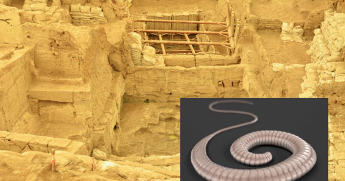 The ancient city of Çatalhöyük 