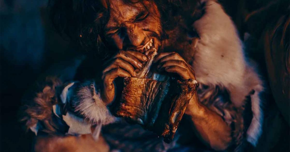 The modern paleo diet is also called the caveman diet, as it’s inspired by Paleolithic eating habits. But is this meat-heavy depiction of ancient diets accurate?          Source: Gorodenkoff / Adobe Stock