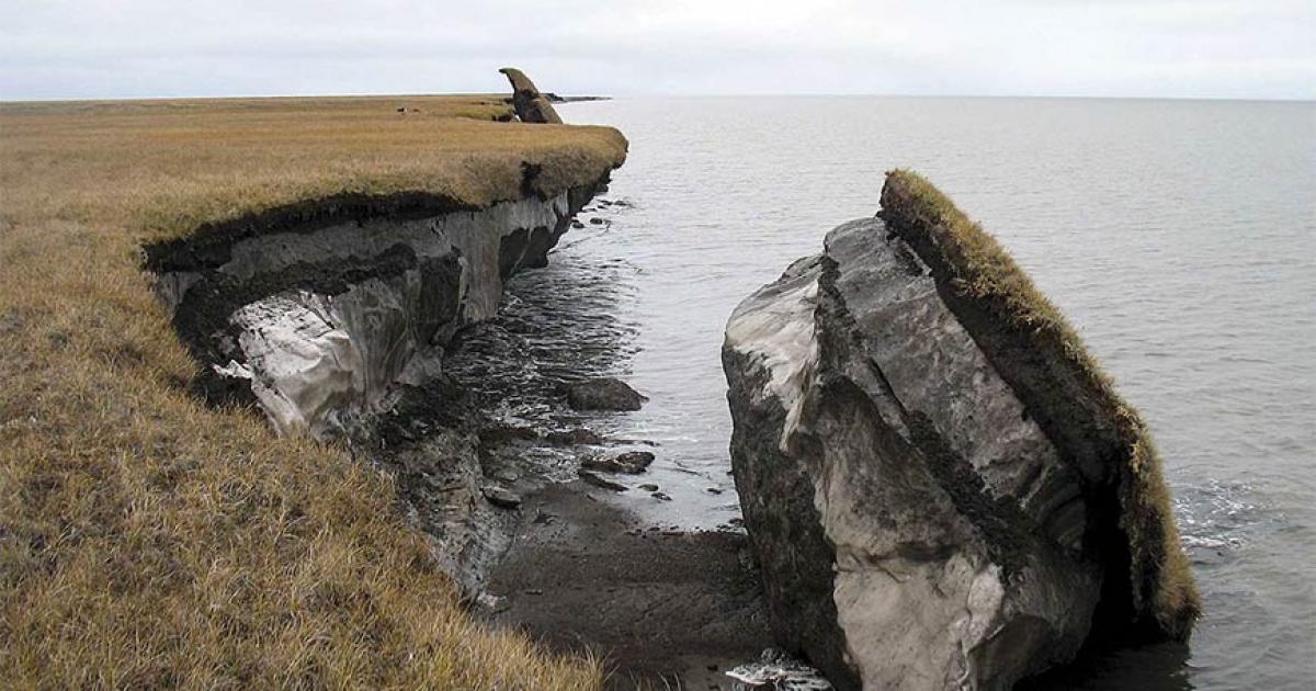 In this photo you can see a collapsed block of ice-rich permafrost along Drew Point, Alaska. Ancient diseases released from such rapid change pose a dire threat to 21st-century human populations.            Source: Benjamin Jones, U.S. Geological Survey / Public domain