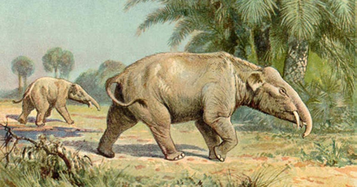 Ancient ecosystems were very different from those found today. Source: Heinrich Harder (1858-1935) / Public Domain