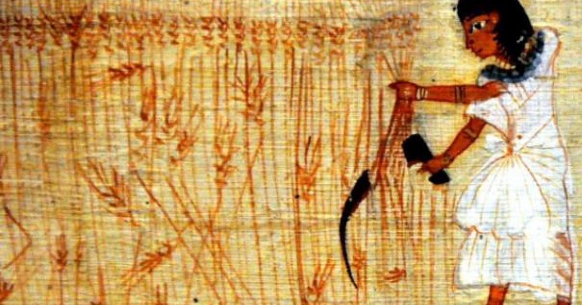 Advanced Agricultural Knowledge 8,000 Years - Fertilizers