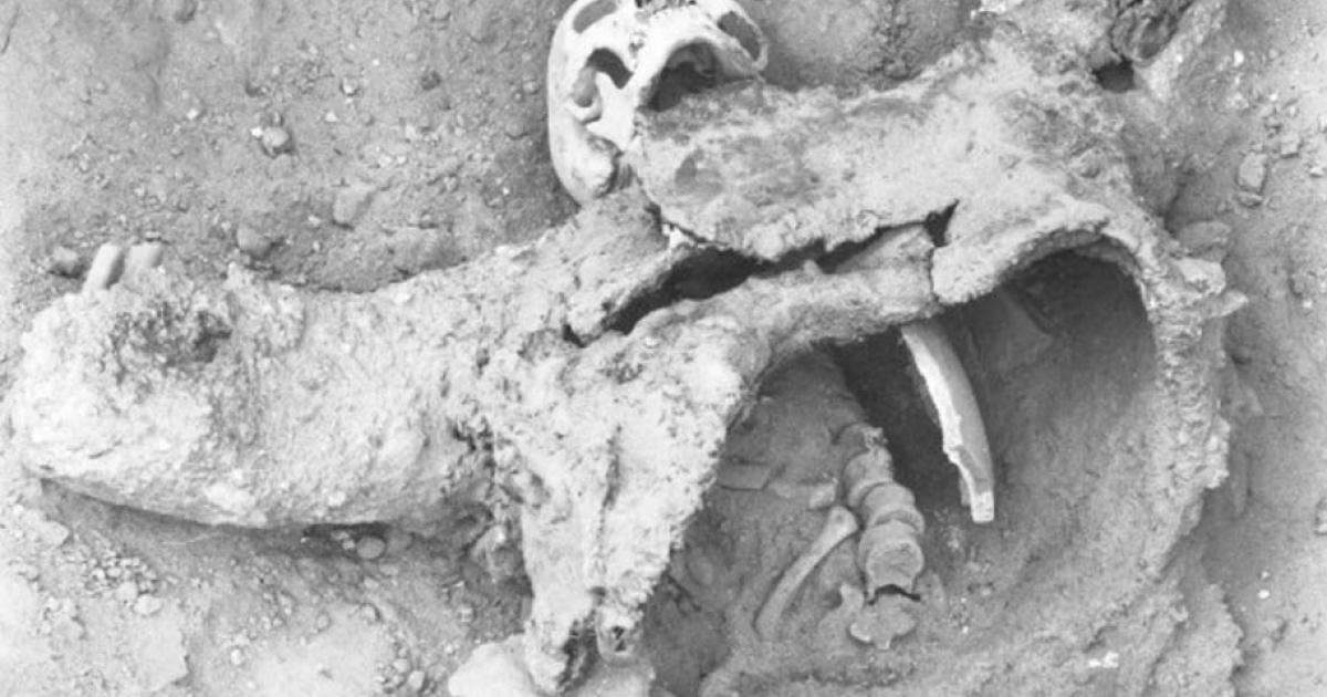 One of the skeletons believed to have died during an ancient poison gas attack