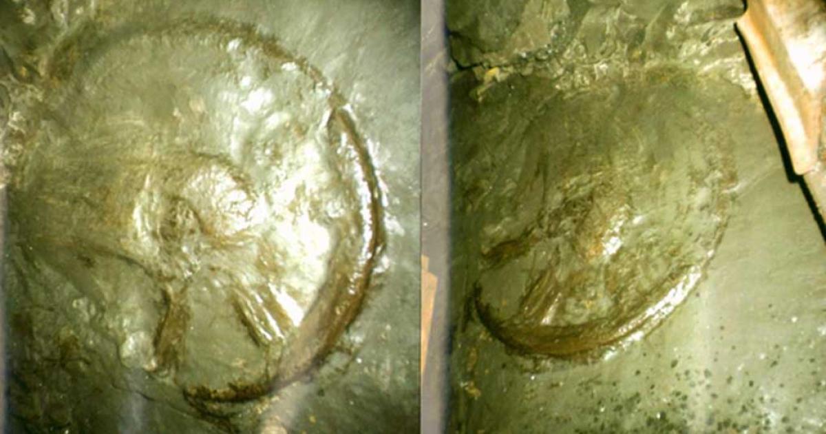 Two photos of the ancient wheel.