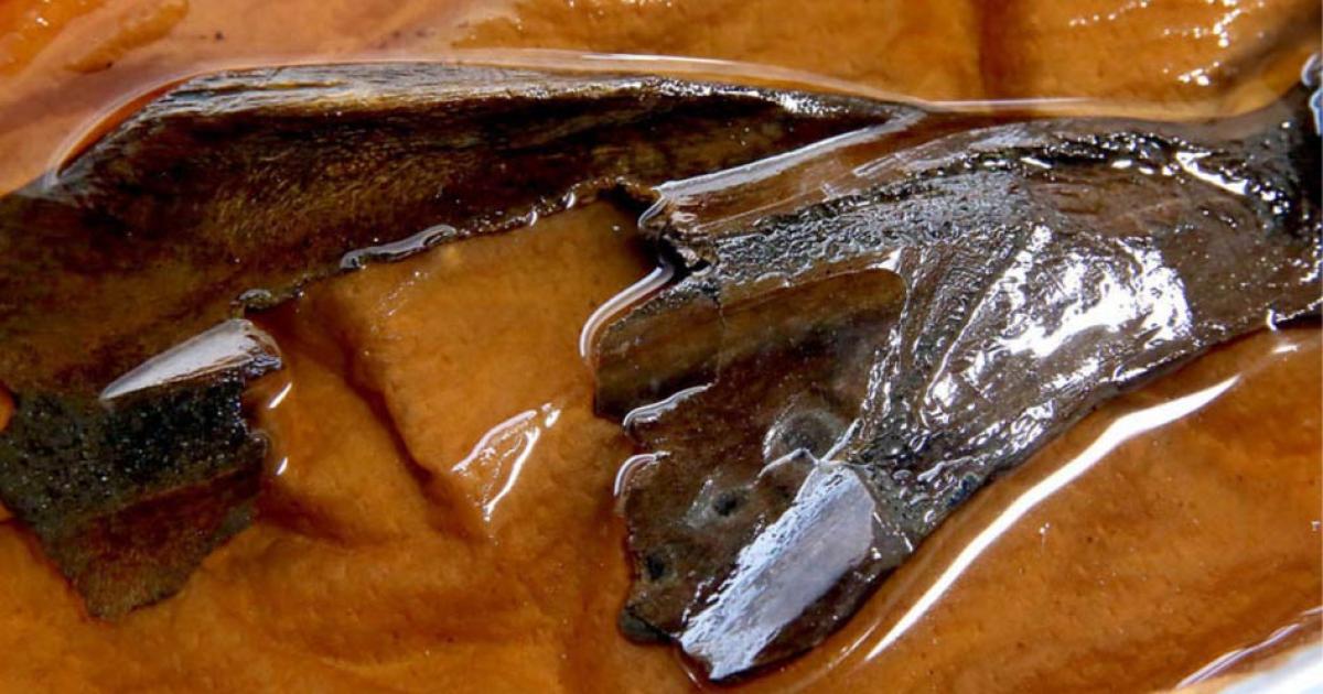 A piece of animal bone used for fortune-telling excavated at the Makimuku ruins in Sakurai, Nara Prefecture. It has three burn marks in the middle. 