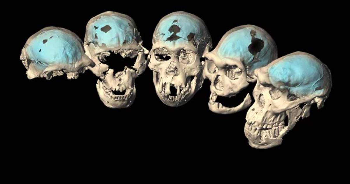 It Really Was a Planet of the Apes Two Million Years Ago